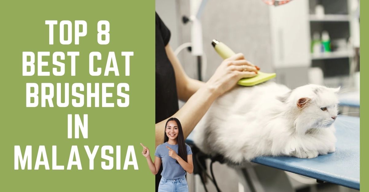 Top Best Cat Brushes in Malaysia