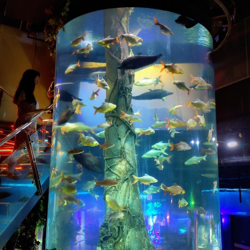 Top 10 Best Things To Do In Aquaria KLCC 2025 12 Visit-Deep-Forest-exhibit-