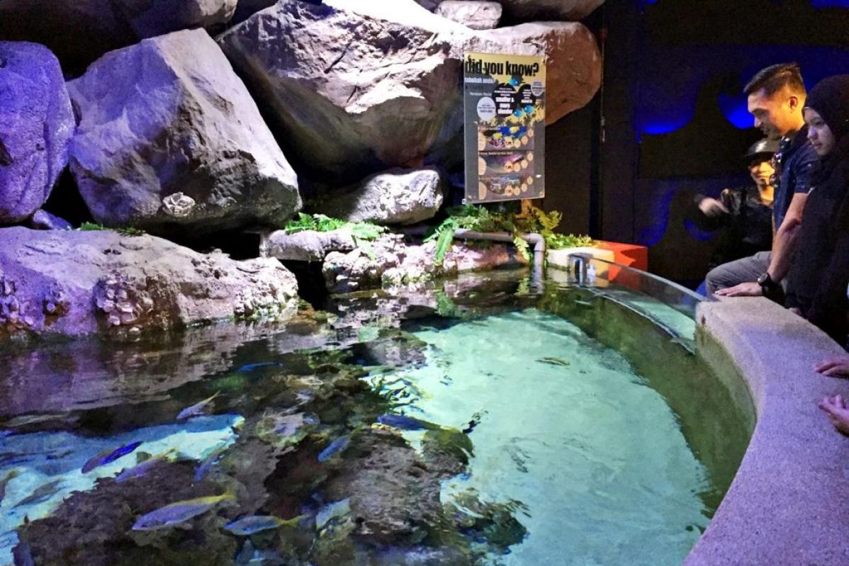 Top 10 Best Things To Do In Aquaria KLCC 2025 13 Visit-The-Coastal-exhibit