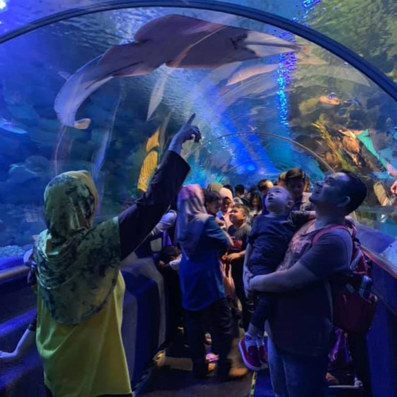 Top 10 Best Things To Do In Aquaria KLCC 2025 15 Visit-The-Living-Ocean-exhibit