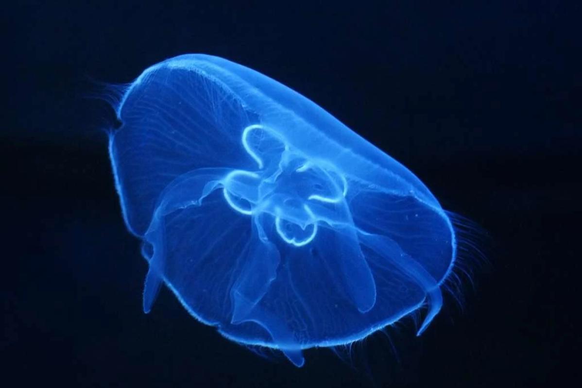 Top 10 Best Things To Do In Aquaria KLCC 2025 21 Visit-The-Station-Aquarius-exhibit