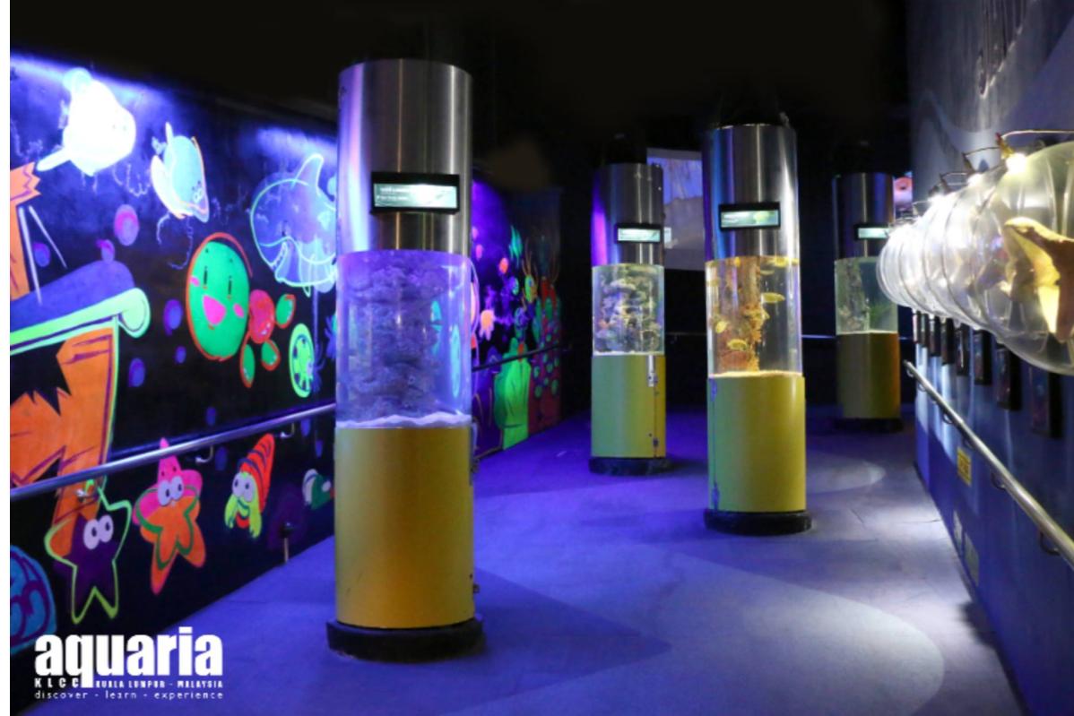 Top 10 Best Things To Do In Aquaria KLCC 2025 20 Visit-The-Weird-and-Wonderful-exhibit-