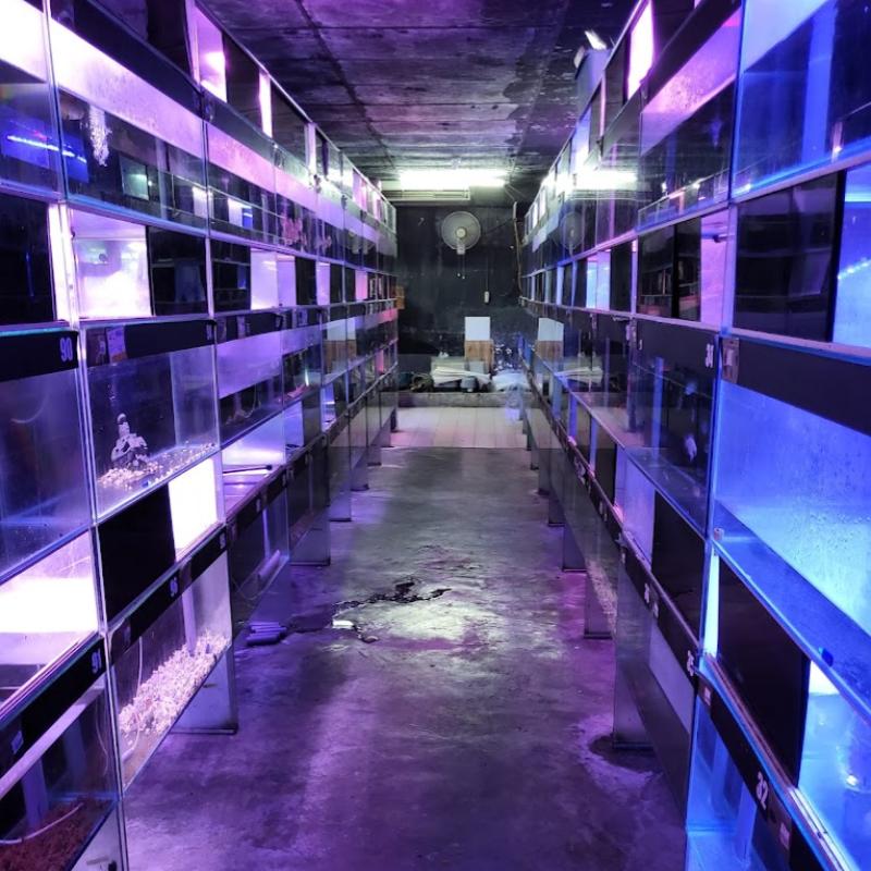 Top 10 Aquarium Shops in JB 2025 7 Waterzuu-Wet-Pets-Aqua-