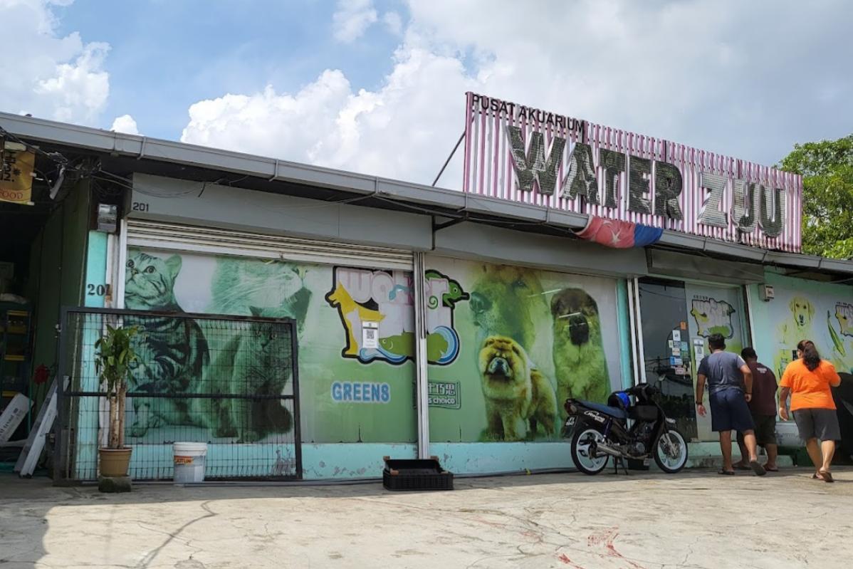 Top 10 Aquarium Shops in JB 2025 6 Waterzuu-Wet-Pets-Aqua