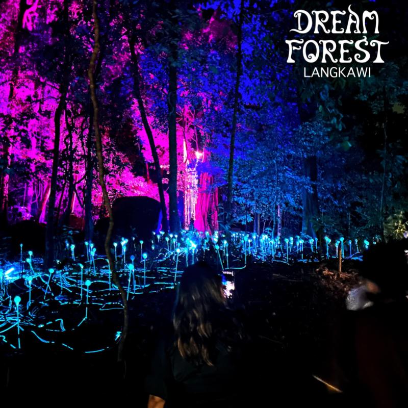 Discover Langkawi: Your Ultimate Island Adventure Itinerary! 21 Dream Forest: A Captivating Experience