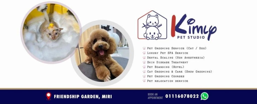 Top 10 Best Pet Hotels in Malaysia 2025 13 Kimly-Pet-Studio-services