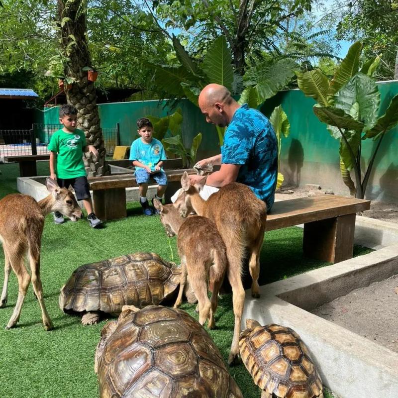 Discover Langkawi: Your Ultimate Island Adventure Itinerary! 9 Langkawi Wildlife Park feeding session