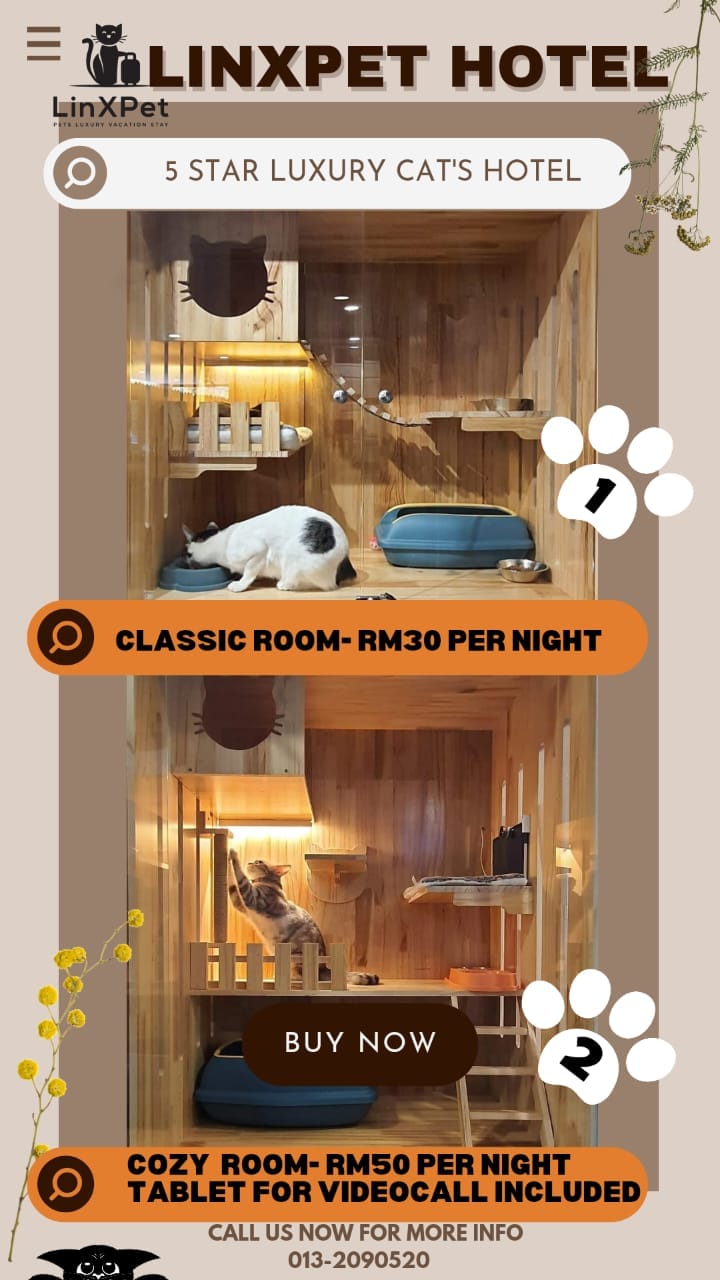 Top 10 Best Pet Hotels in Malaysia 2025 21 LinXPet-Hotel-description