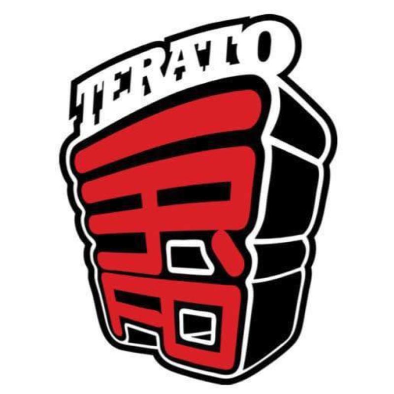 Top 10 Best Mobile App Developers in Malaysia 2025 4 Terato-Tech-logo