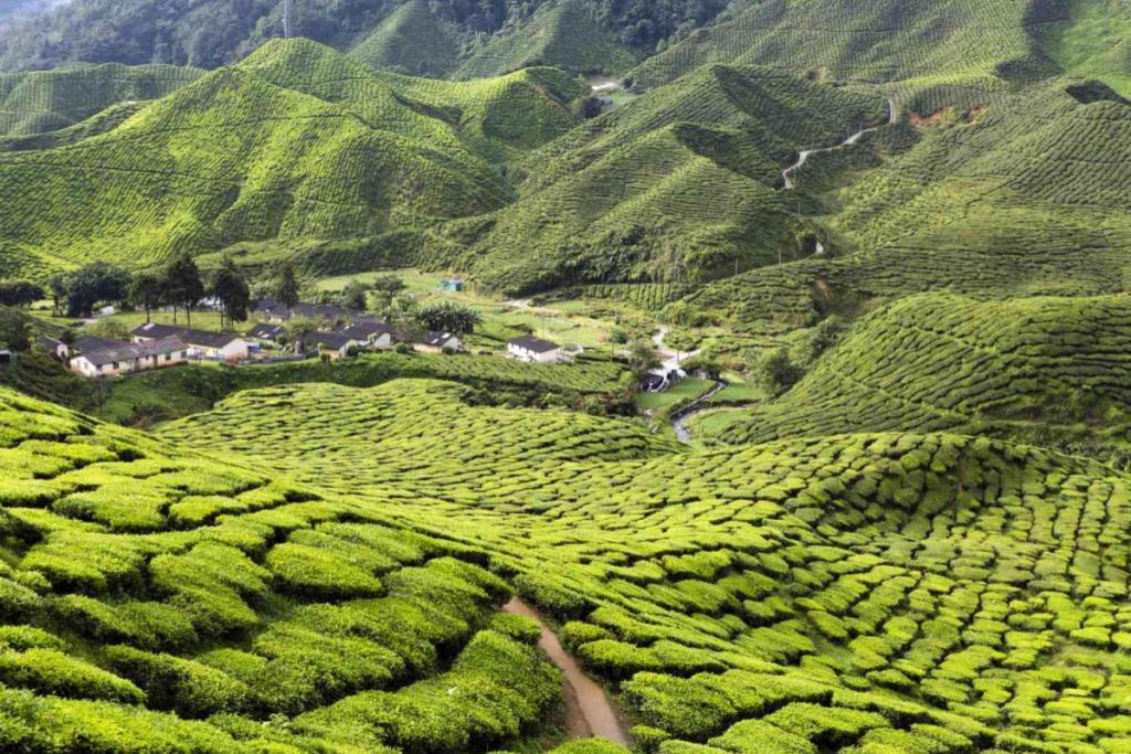 8 Fun Things to Do in Malaysia This December 2023 5 christmas 4