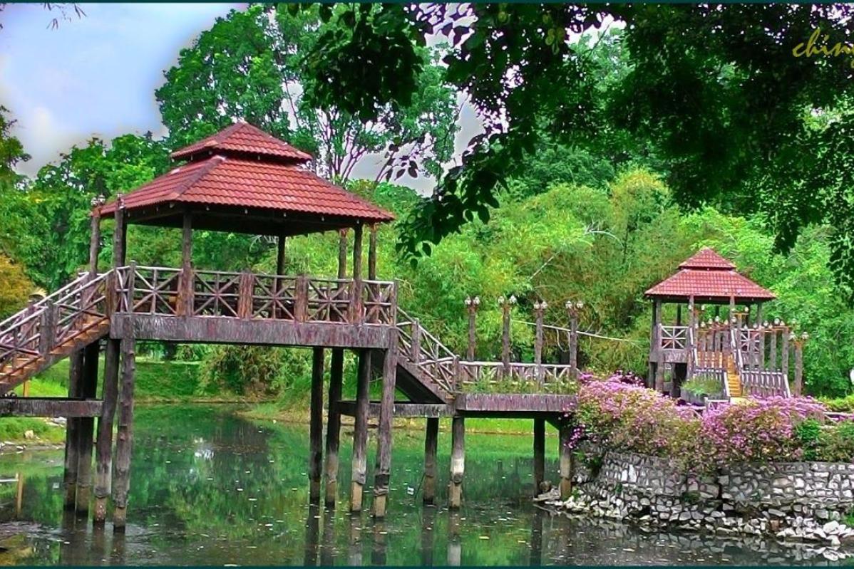 Top 10 Best Things to Do in Ipoh for Nature Lovers and Foodies 2025 9 D-R-Seenivasagam-Recreational-Park-artificial-pond