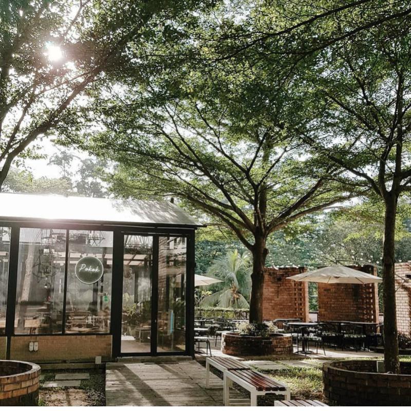 Curated Kuala Lumpur Itinerary for You: The City Unveiled 10 Pokok-KL-Cafe