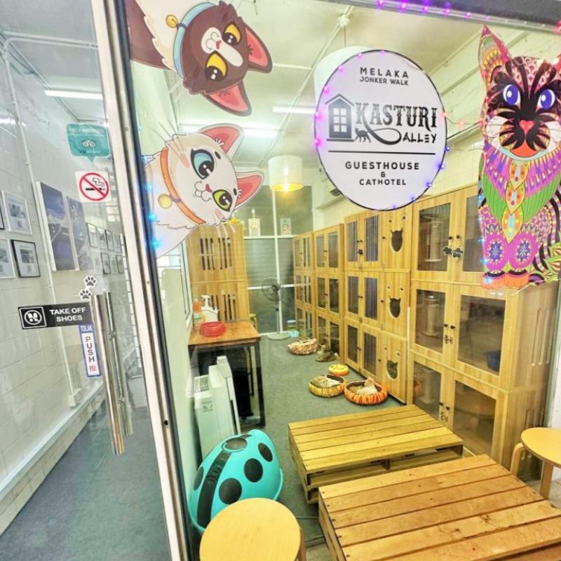 Top 10 Best Pet-Friendly Hotels in Malaysia 2025 19 Kasturi-Alley-Cat-Hotel