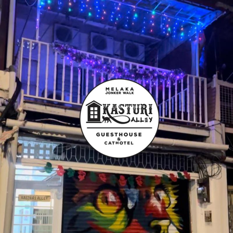 Top 10 Best Pet-Friendly Hotels in Malaysia 2025 18 Kasturi-Alley-Guest-House-Cat-Hotel