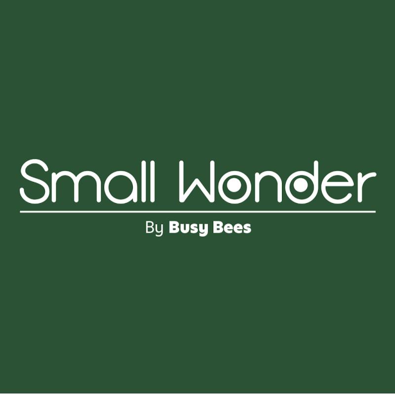 Top 10 Best Kindergartens in Puchong 2025 20 Small-Wonder-logo