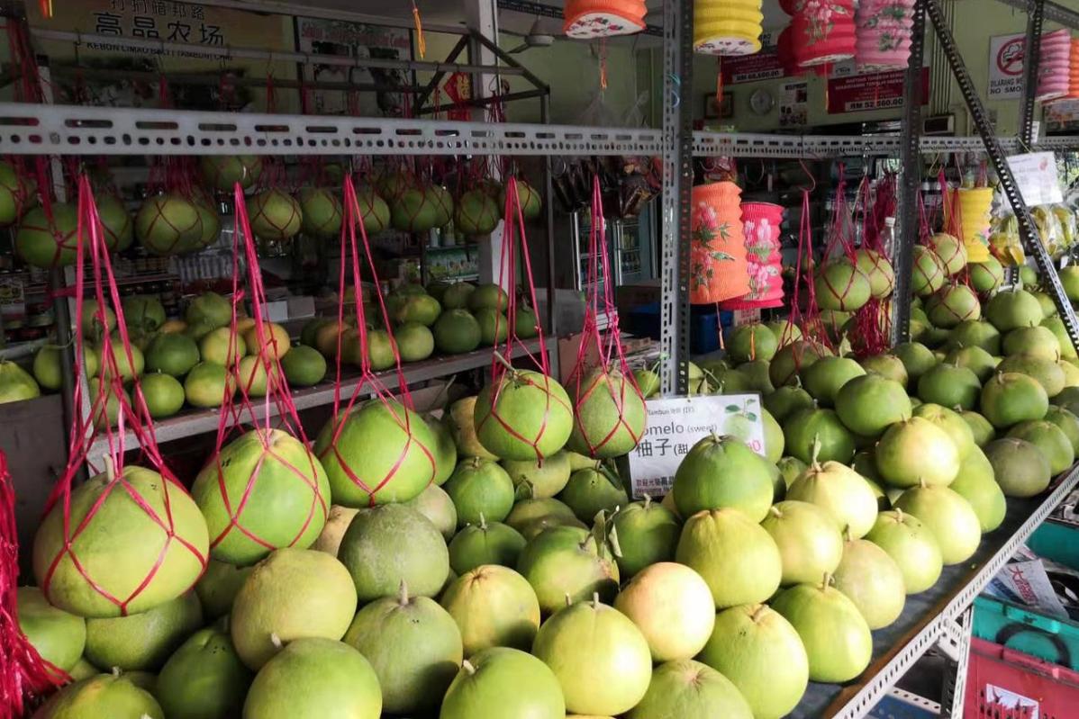 Top 10 Best Things to Do in Ipoh for Nature Lovers and Foodies 2024