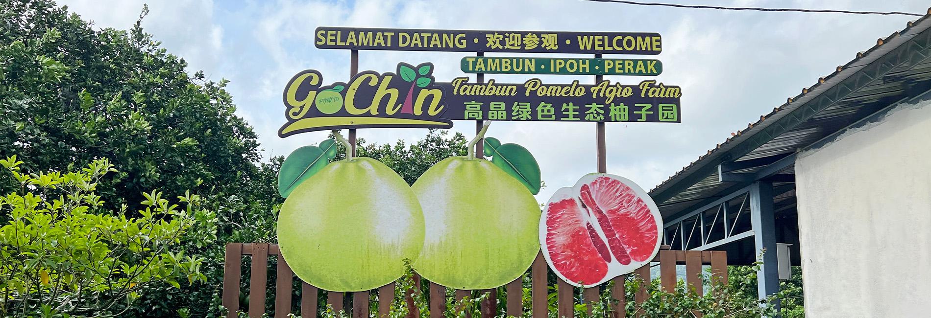 Top 10 Best Things to Do in Ipoh for Nature Lovers and Foodies 2024