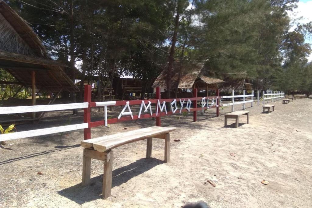 Top 10 Best Pet-Friendly Hotels in Malaysia 2025 20 Tammoyo-Place-private-beach