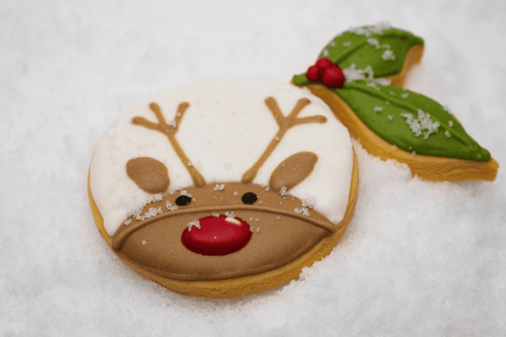 Top 10 Cute Designs for Christmas Cookies in Malaysia 2023 4 christmas 8
