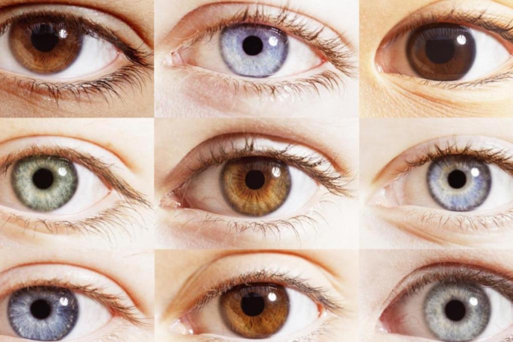 Exploring the Best Coloured Contact Lenses to Suit Your Eyes 6 lenses 4 1