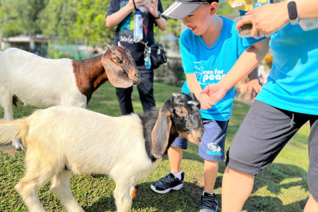 Bukit Jelutong Mini Zoo Free Admission for All! 4 ecopark