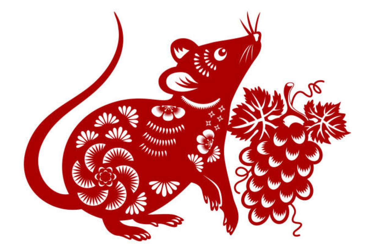 Chinese Zodiac Predictions: Year of The Wood Dragon 2024 3 chinese-zodiac-rat-sign
