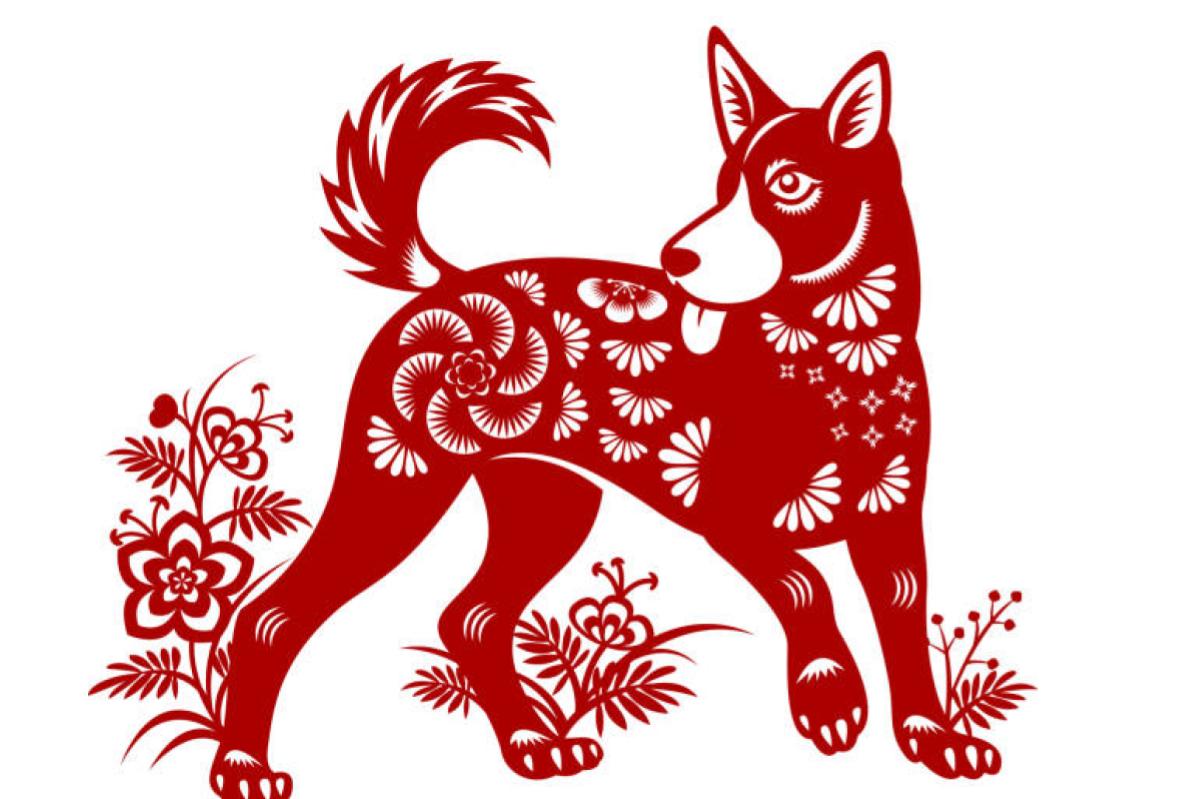Chinese Zodiac Predictions: Year of The Wood Dragon 2024 13 chinese-zodiac-dog-sign