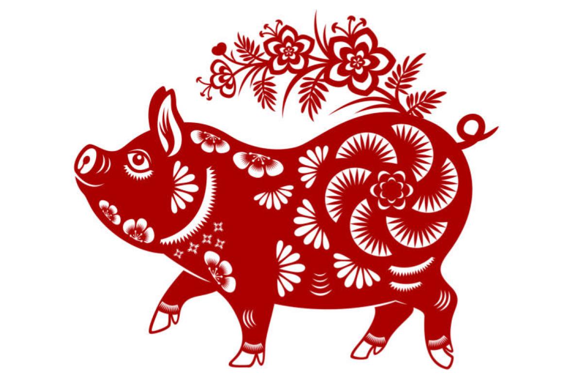 Chinese Zodiac Predictions: Year of The Wood Dragon 2024 14 chinese-zodiac-pig-sign