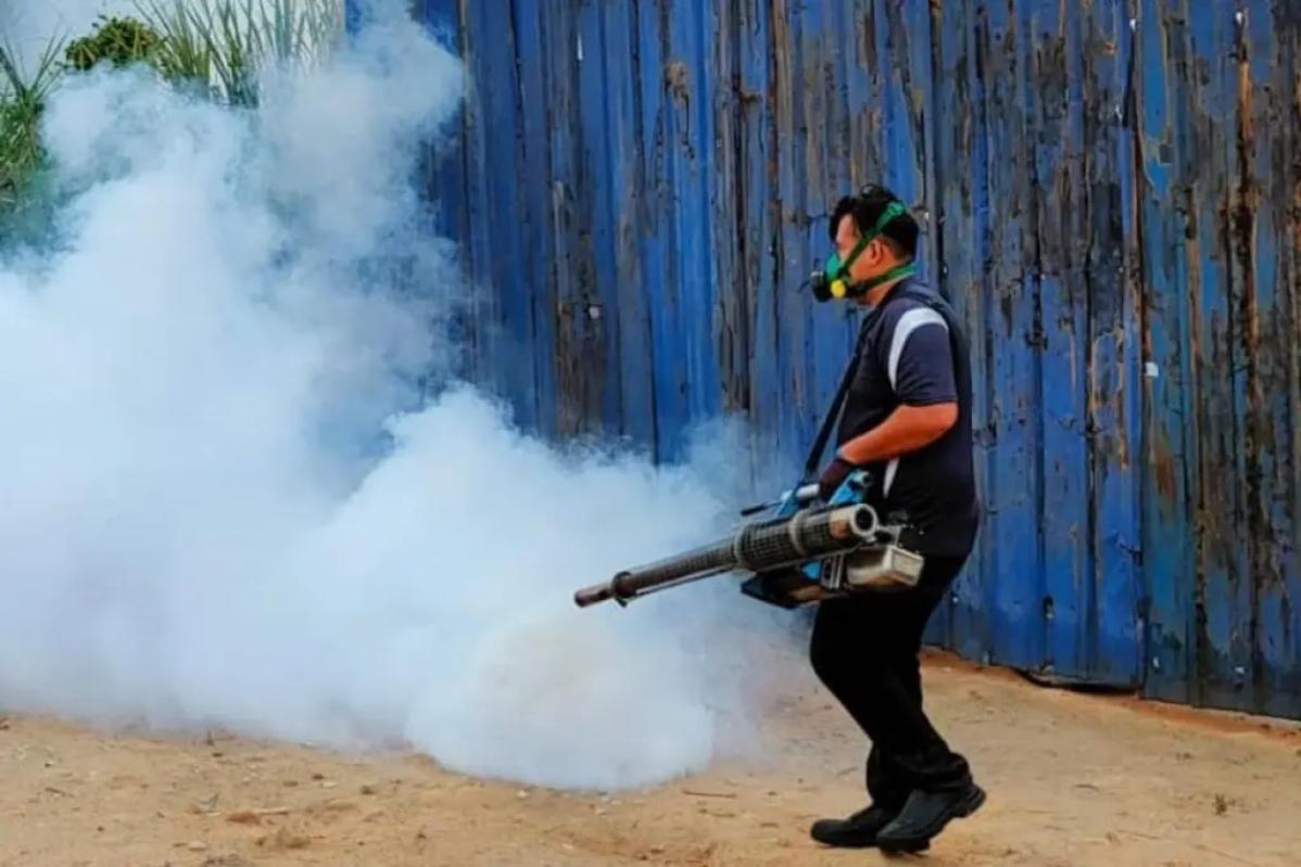 Top 10 Best Pest Control Services for Homes & Offices in Malaysia 2025 17 EZ Global at work