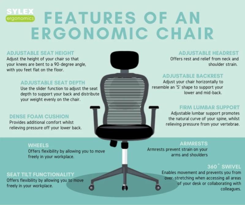 Top 10 Best Ergonomic Chairs in Malaysia 2025 2 Ergonomic Chair 1 e1705211328431