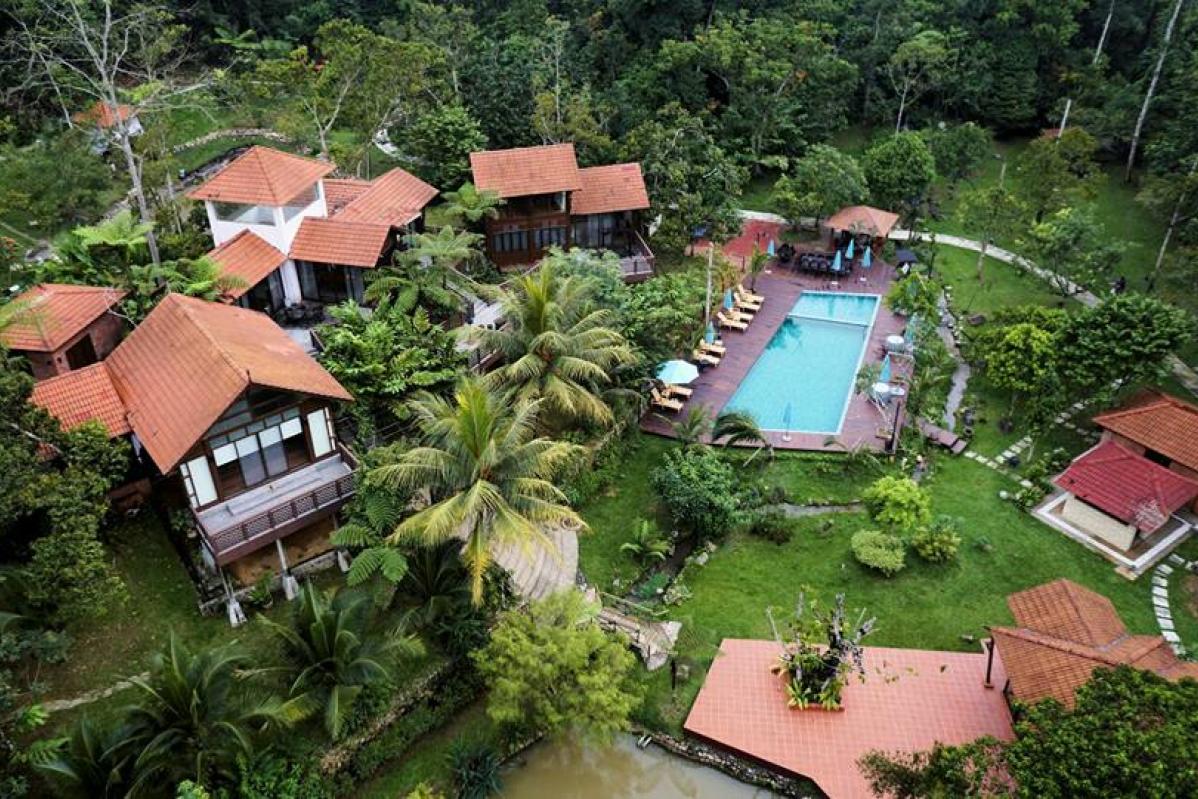 Top 10 Best Staycations in Janda Baik 2025 6 Fifty4Ferns-Resort