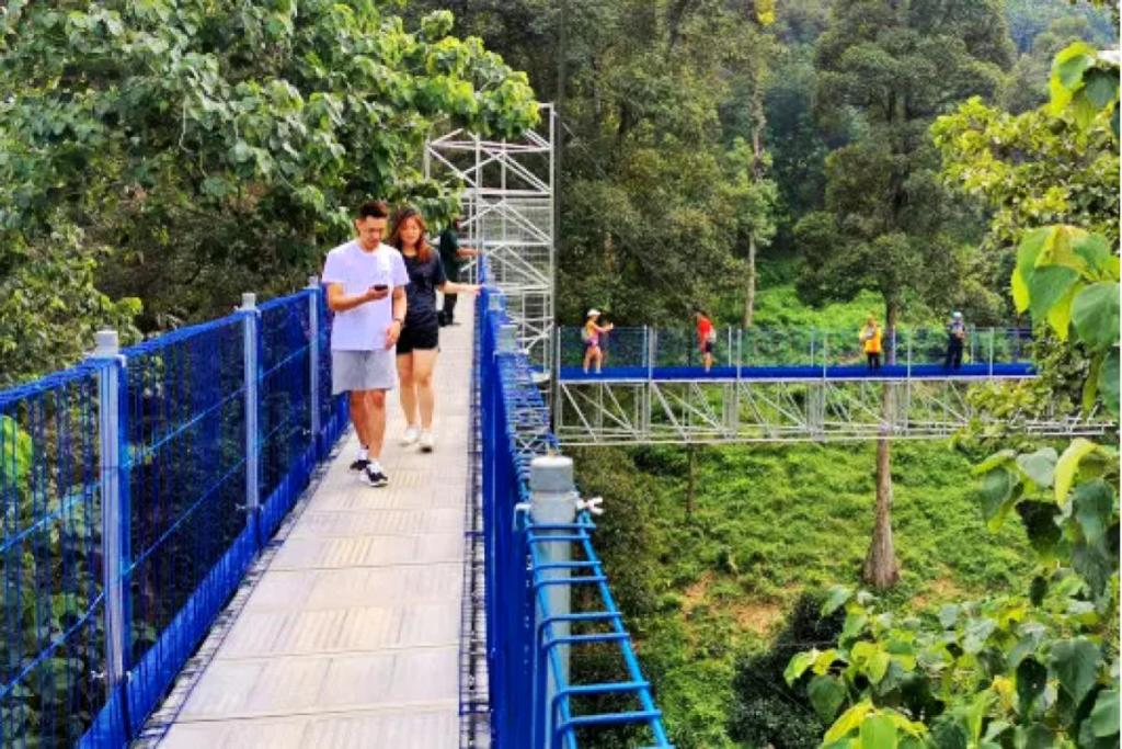 Top 10 Best Cafes in Kepong 2025 1 Forest-Skywalk