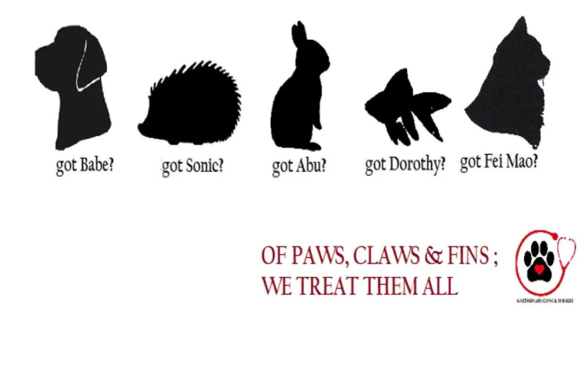 10 Klinik Veterinar Terbaik di KL & Selangor 2025 17 G Veterinary Clinic and Surgery 1