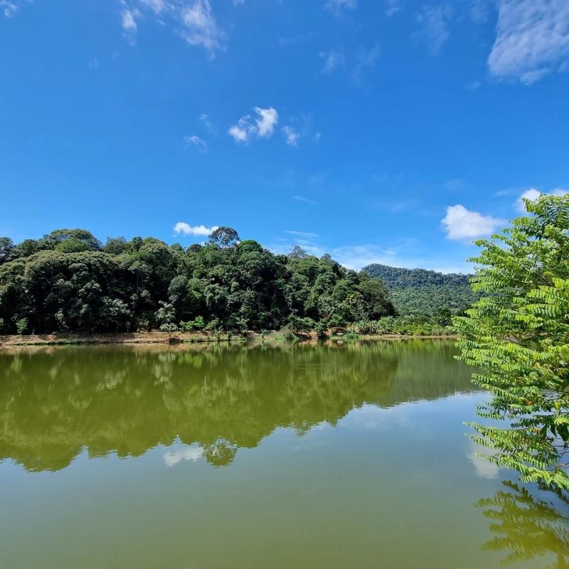 Top 10 Best Camping Sites in Malaysia 2025 21 GG-Retreat-fishing-spot