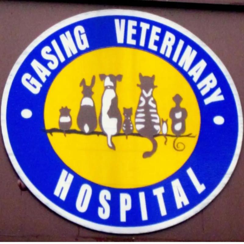 10 Klinik Veterinar Terbaik di KL & Selangor 2025 4 Gasing Veterinary Hospital