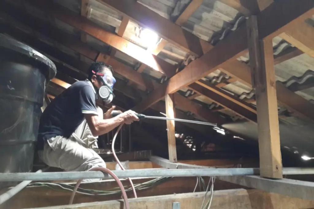 Top 10 Best Pest Control Services for Homes & Offices in Malaysia 2025 21 HAZARA at work