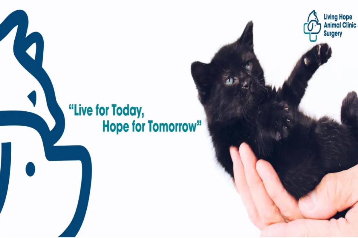 10 Klinik Veterinar Terbaik di KL & Selangor 2025 19 Living Hope Animal Clinic Surgery 1 1