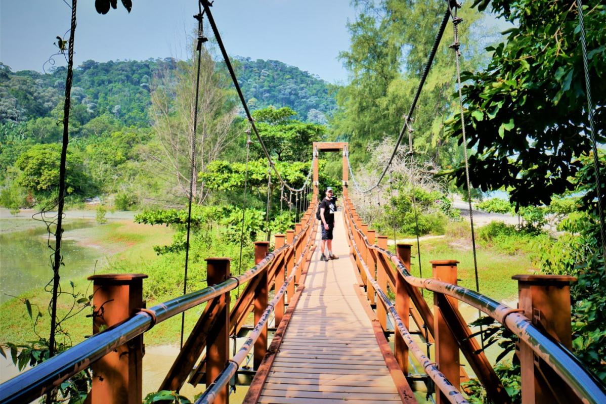 Top 10 Best Places For Birthday Celebrations in Penang 2025 11 Penang-National-Park-suspension-bridge