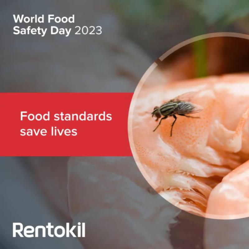 Top 10 Best Pest Control Services for Homes & Offices in Malaysia 2025 7 Rentokil advertisement