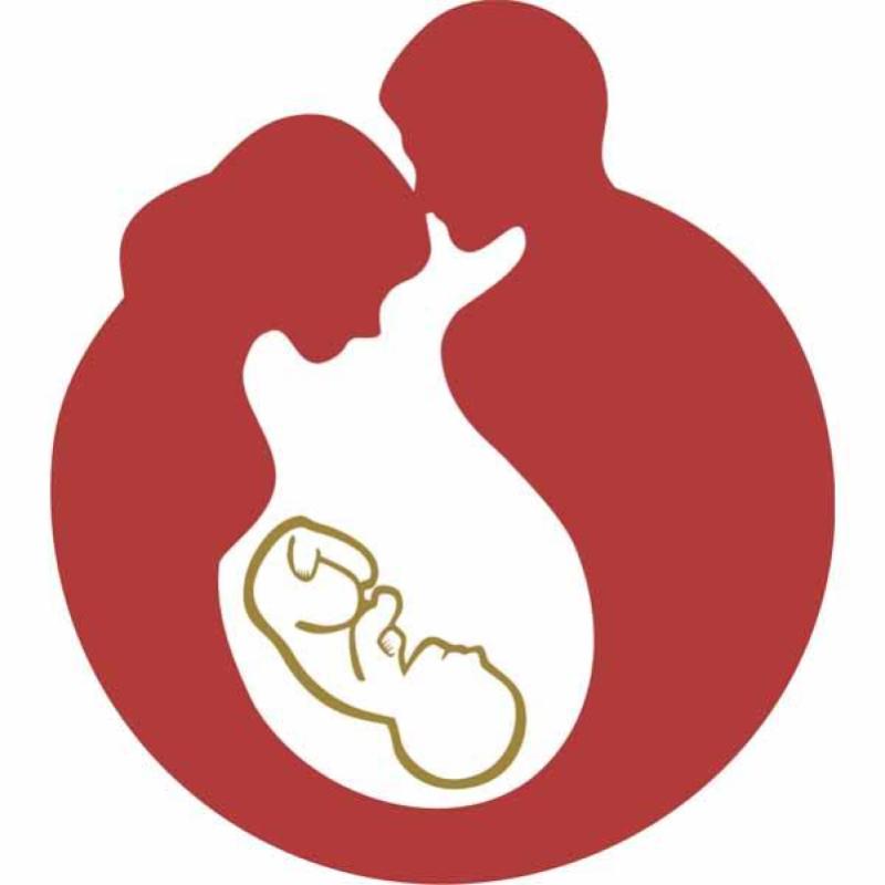 Top 10 Best Fertility Clinics in Malaysia 2025 20 Selvas-Clinic-logo