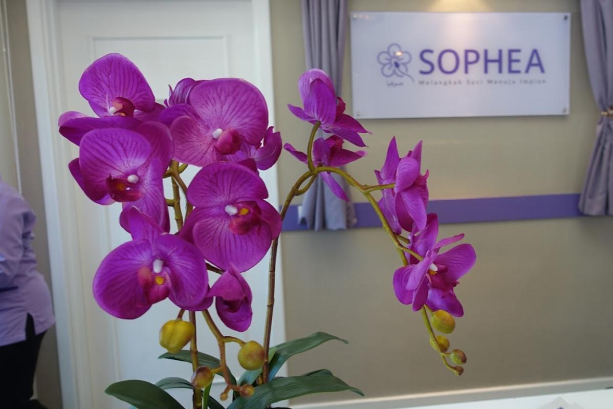 Top 10 Best Fertility Clinics in Malaysia 2025 8 artificial-flower-at-Sophea