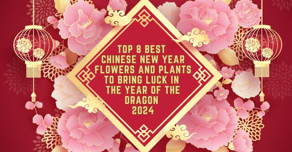8 Lucky Chinese New Year Flowers and Plants in 2024