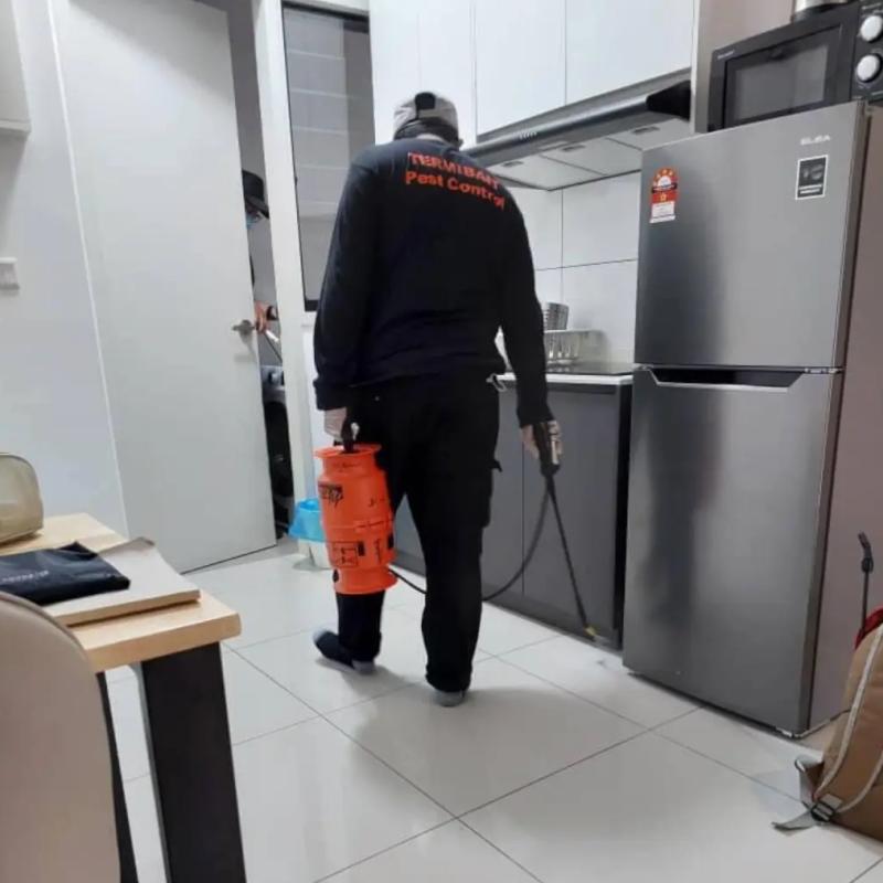 Top 10 Best Pest Control Services for Homes & Offices in Malaysia 2025 19 Termibait at work