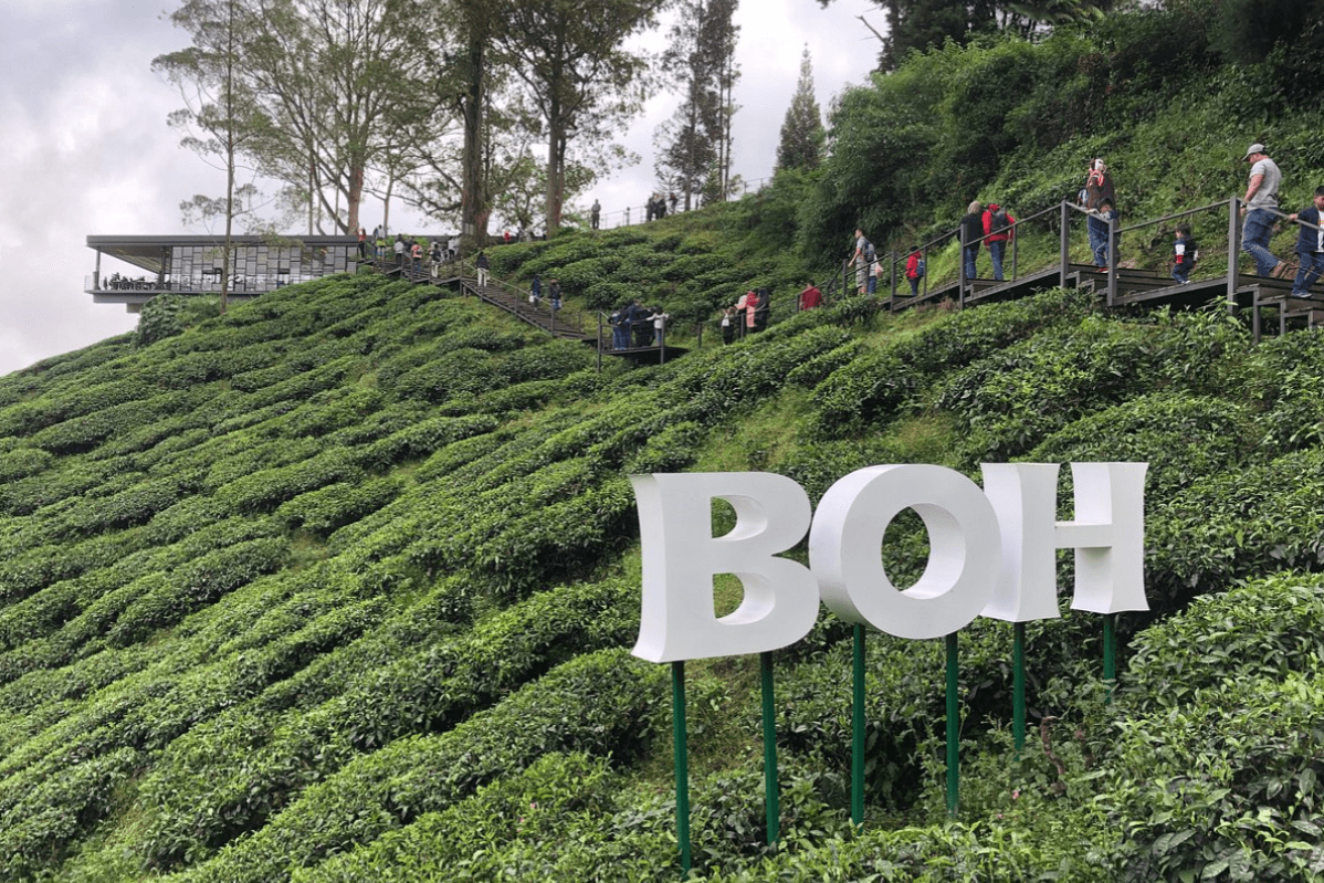 Top 10 Best Budget Vacations Below RM 200 in Malaysia 2025 14 BOH-Tea-Centre-sign