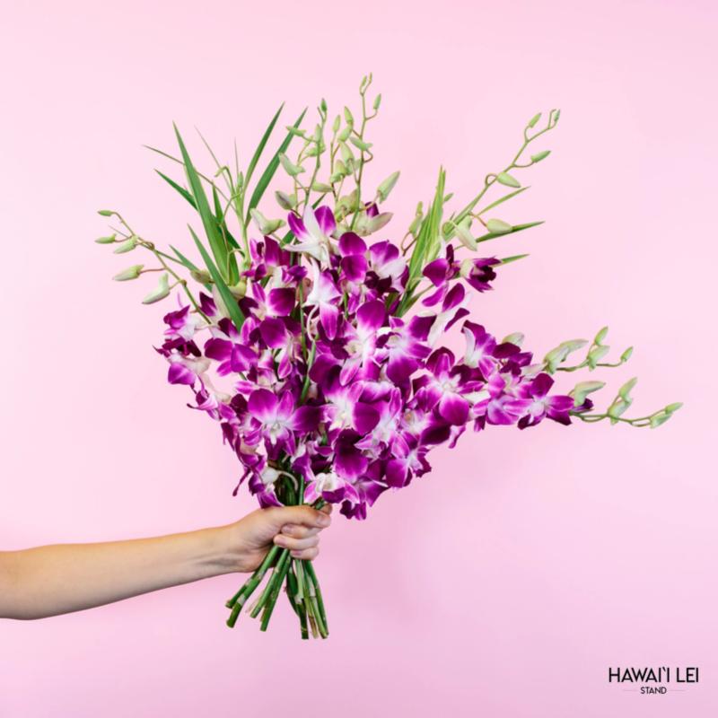 Top 10 Best Flowers for Valentine's Day in Malaysia 2025 6 Orchids