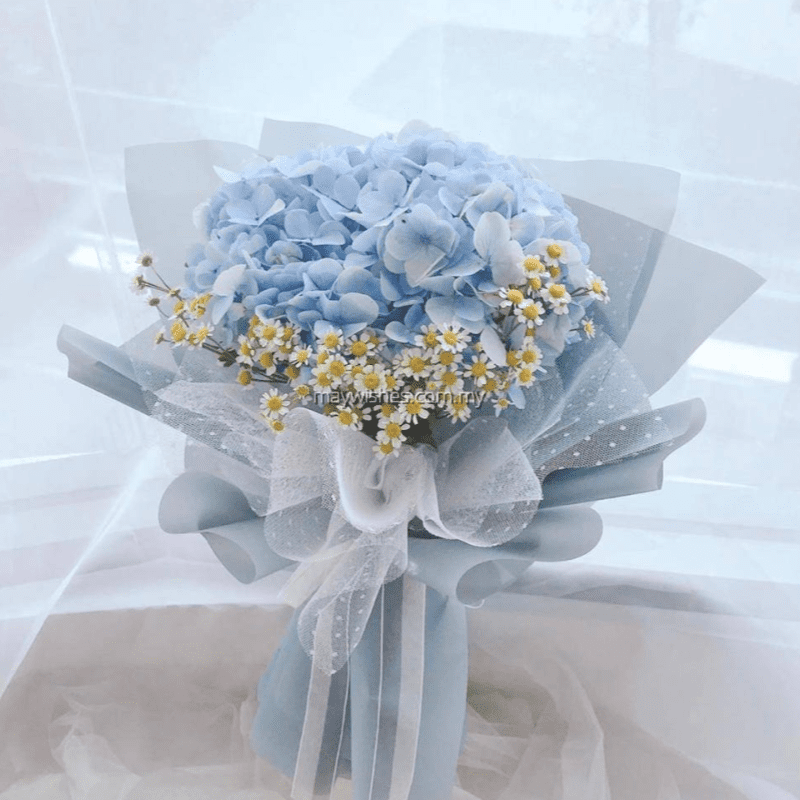 Top 10 Best Flowers for Valentine's Day in Malaysia 2025 11 Hydrangeas