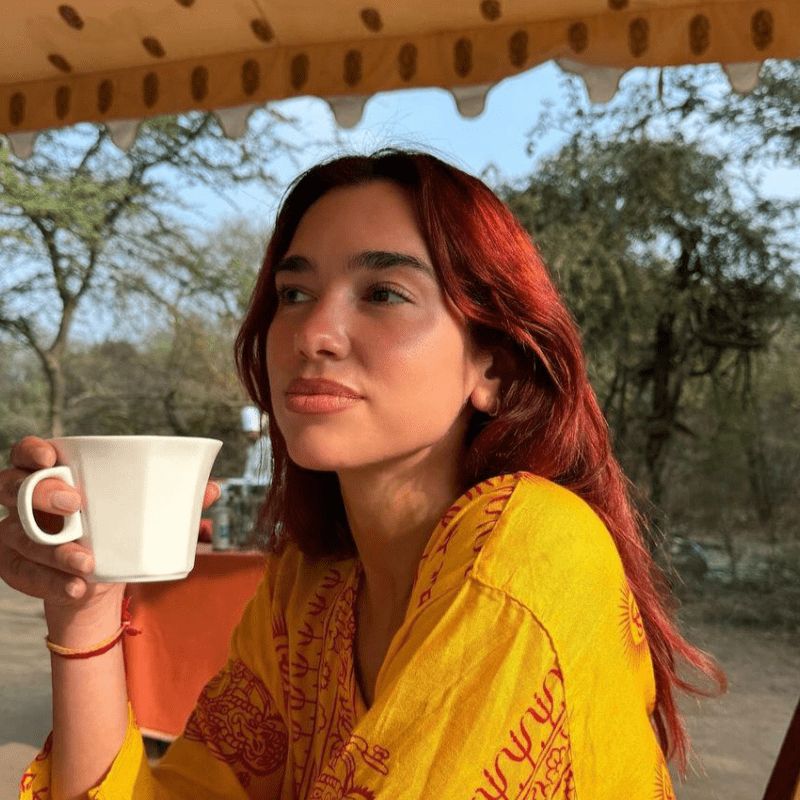 Top 10 Best Hair Colour Trends to Try Out in 2025 5 hair