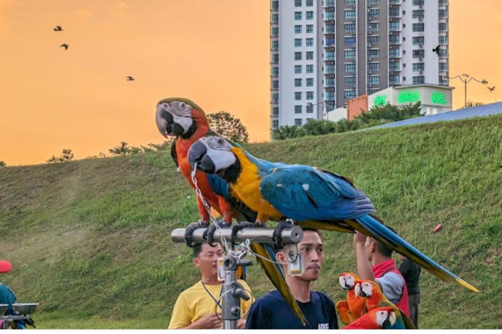 Top 20 Best Cafes in Cheras 2025 2 stroll-at-Lake-Valley