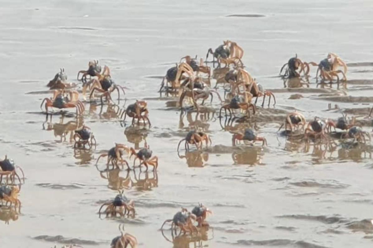 Six Famous Beaches In Selangor To Leisure During Weekend 6 Pantai Cunang 1