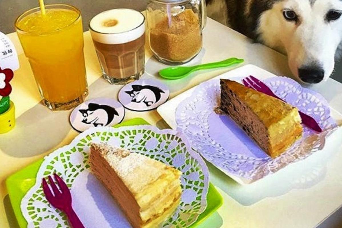 Top 10 Best Cafes in Melaka 2025 8 Huskitory-cakes-and-drinks